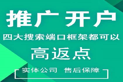 竞价推广实战：案例分析行业领军企业的成功之道